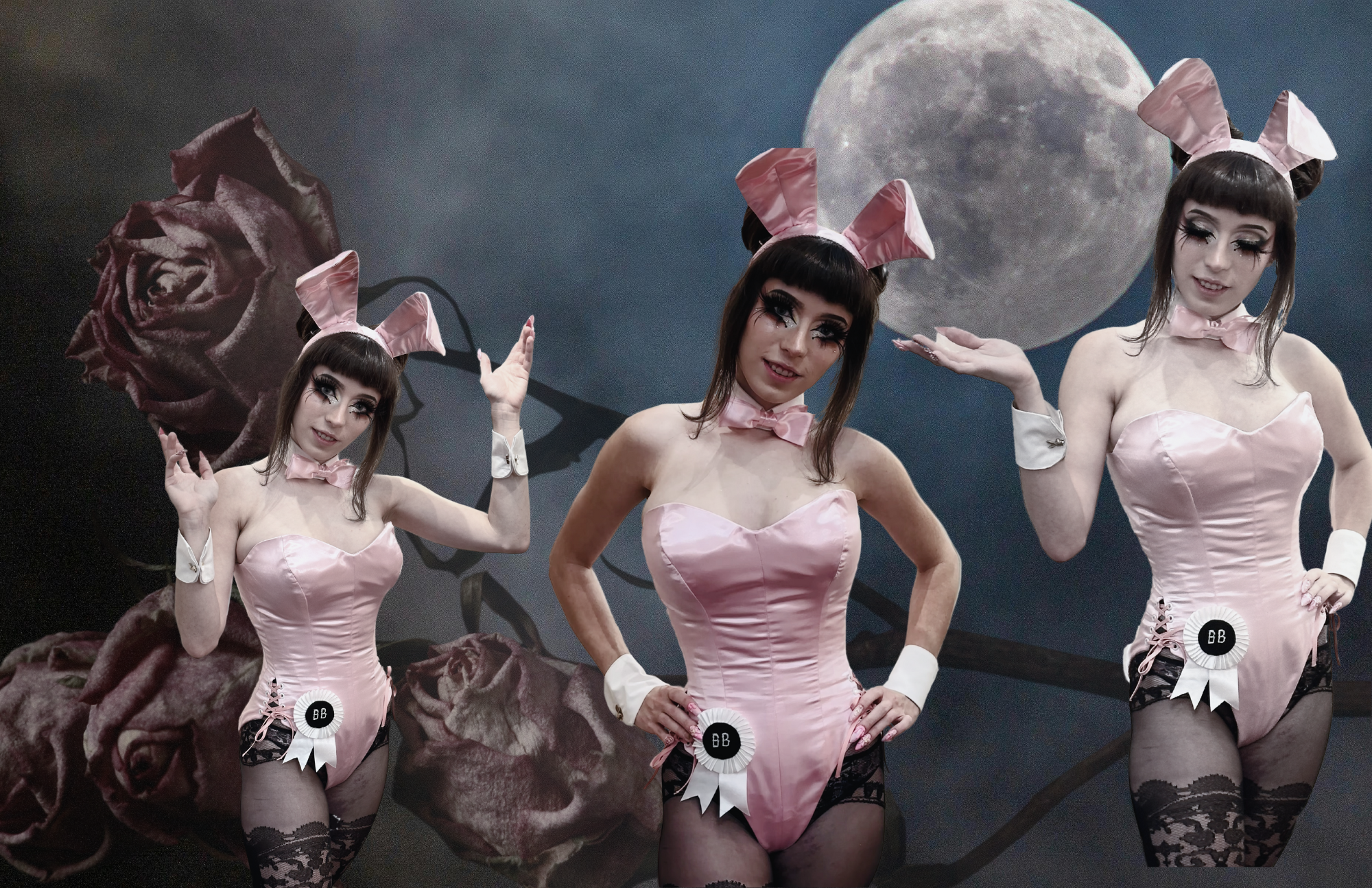 Bunnies of the Playboy Mansion