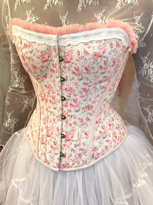 Princess Aurora - the Cleonise Corset