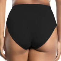 Sheer Mesh High-cut Panty Underwear Black Classic French Cut See Through  Panties See Through Lingerie 